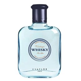 Evaflor, Whisky Vintage, Eau De Toilette, For Men, 100 ml - Teknashop Ltd