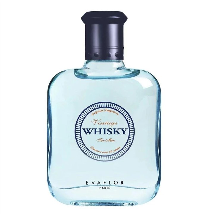 Evaflor, Whisky Vintage, Eau De Toilette, For Men, 100 ml - Teknashop Ltd