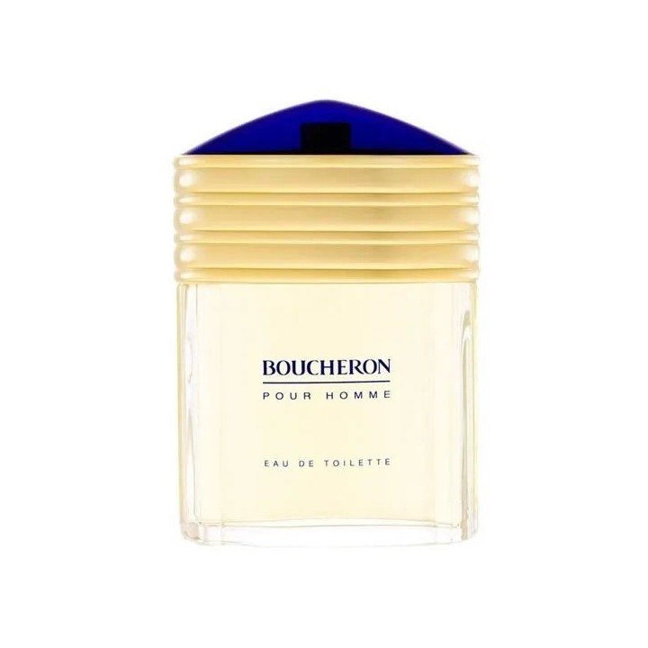 Boucheron Homme Eau De Toilette Spray 100ml - man - Teknashop Ltd