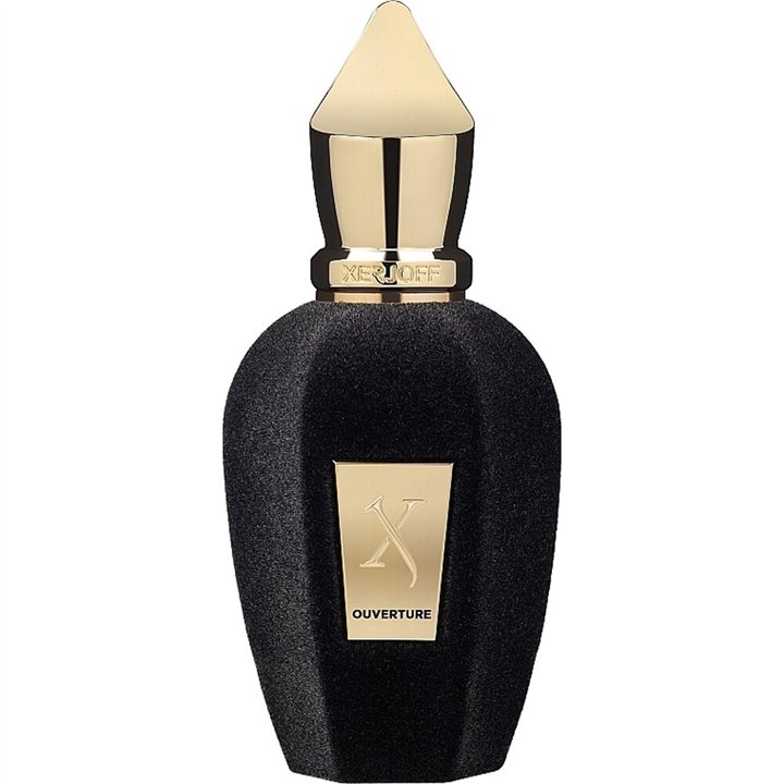 Xerjoff, Ouverture, Eau De Parfum, Unisex, 100 ml - Teknashop Ltd