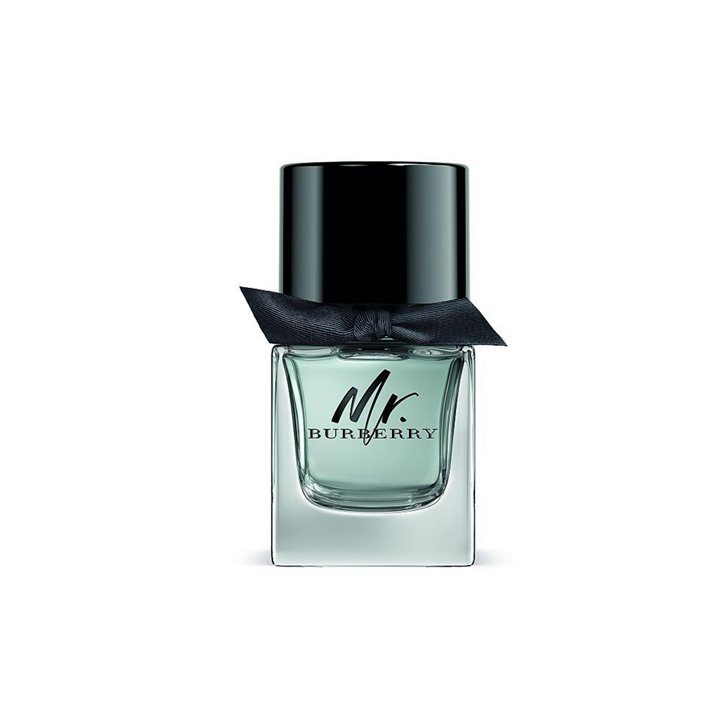 Burberry, Mr. Burberry, Eau De Toilette, For Men, 50 ml - Teknashop Ltd
