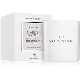 The Olphactory, Majestic Symphony, Leather, Scented Candle, 310 g - Teknashop Ltd