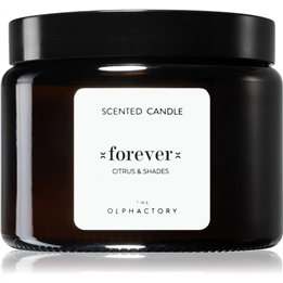 The Olphactory, Forever Citrus & Shades, Scented Candle, 360 g - Teknashop Ltd