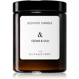 The Olphactory, Cedar & Oud, Woody, Scented Candle, 135 g - Teknashop Ltd