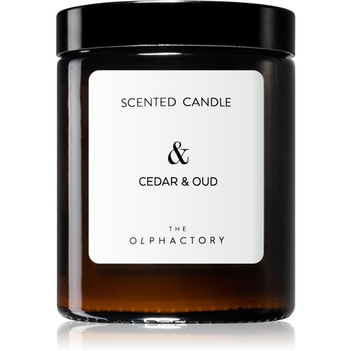 The Olphactory, Cedar & Oud, Woody, Scented Candle, 135 g - Teknashop Ltd