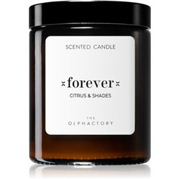 The Olphactory, Forever Citrus & Shades, Citrus, Scented Candle, 135 g - Teknashop Ltd