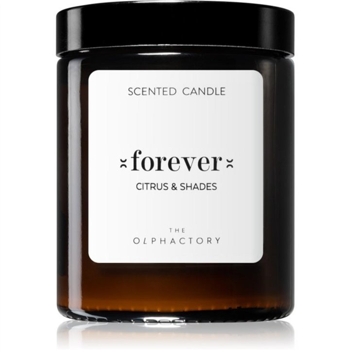 The Olphactory, Forever Citrus & Shades, Citrus, Scented Candle, 135 g - Teknashop Ltd
