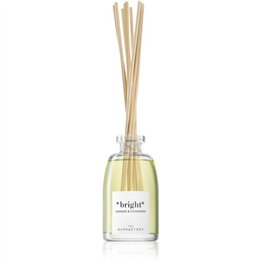The Olphactory, Bright Orange & Cinnamon, Fragrance Sticks, Aroma Reed Diffuser, 250 ml - Teknashop Ltd