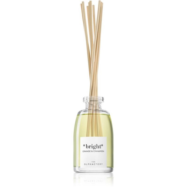 The Olphactory, Bright Orange & Cinnamon, Fragrance Sticks, Aroma Reed Diffuser, 250 ml - Teknashop Ltd