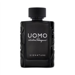 Salvatore Ferragamo, Uomo Signature, Eau De Parfum, For Men, 100 ml - Teknashop Ltd