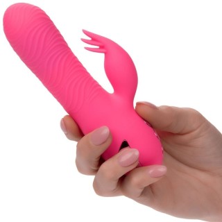 CALEXOTICS - SACRAMENTO SWEETIE VIBRATOR RABBIT PINK BY CALIFORNIA DREAMING - D-239982 - Teknashop Ltd