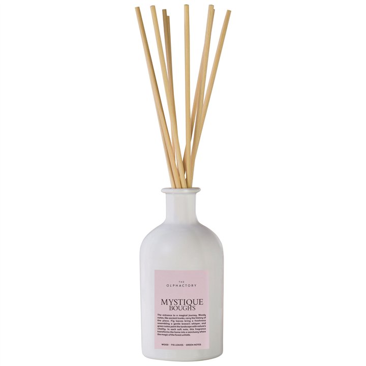 The Olphactory, Mistique Boughts, Fragrance Sticks, Aroma Reed Diffuser, 250 ml - Teknashop Ltd