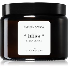 The Olphactory, Bliss Green Leaves, Green Leaves, Scented Candle, 360 g - Teknashop Ltd