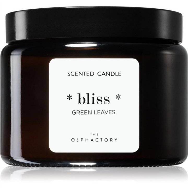 The Olphactory, Bliss Green Leaves, Green Leaves, Scented Candle, 360 g - Teknashop Ltd