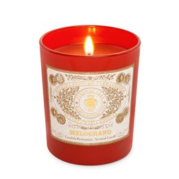 Santa Maria Novella, Melograno, Scented Candle, 250 g - Teknashop Ltd