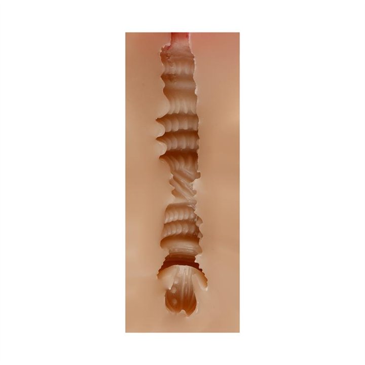 Male Masturbator Vagina Judith Skin - SQ-MA60095 - Teknashop Ltd