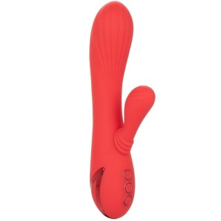 CALEXOTICS - PALISADES PASSION RED - D-232200 - Teknashop Ltd