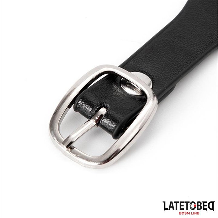 Collar with Bell and Leash - 8436615009305 - Teknashop Ltd