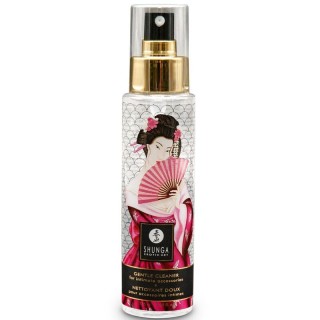 SHUNGA - GENTLE TOY CLEANER 115 ML - D-237770 - Teknashop Ltd