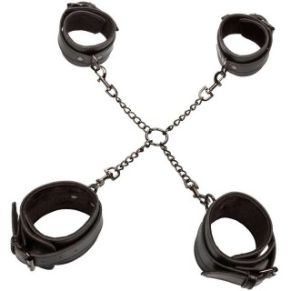 CALEXOTICS - EUPHORIA HOG TIE - D-239254 - Teknashop Ltd