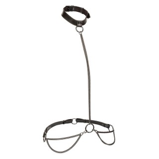 CALEXOTICS - EUPHORIA CHAIN HALTER COLLAR & LEASH PLUS SIZE - D-241471 - Teknashop Ltd