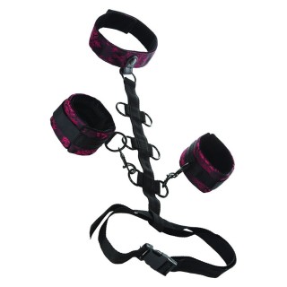 CALEXOTICS - SCANDAL COMPORAL SUPPORT WITH NECK - D-243663 - Teknashop Ltd