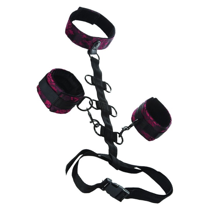 CALEXOTICS - SCANDAL COMPORAL SUPPORT WITH NECK - D-243663 - Teknashop Ltd