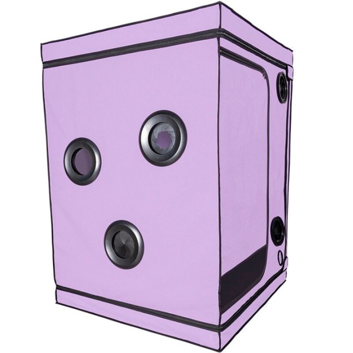 SECRET DOME - KINK CLUB CABIN SCANDALE PURPLE - D-241943 - Teknashop Ltd