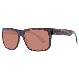 SERENGETI MOD. 8371-AU 56 - WW.8371-AU 56 - Teknashop Ltd