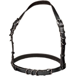 CALEXOTICS - EUPHORIA PLUS SIZE HALTER BUCKLE HARNESS BLACK - D-239247 - Teknashop Ltd
