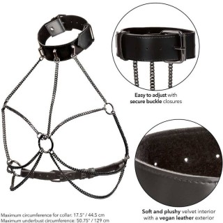 CALEXOTICS - EUPHORIA PLUS SIZE MULTI CHAIN COLLAR HARNESS - D-239249 - Teknashop Ltd