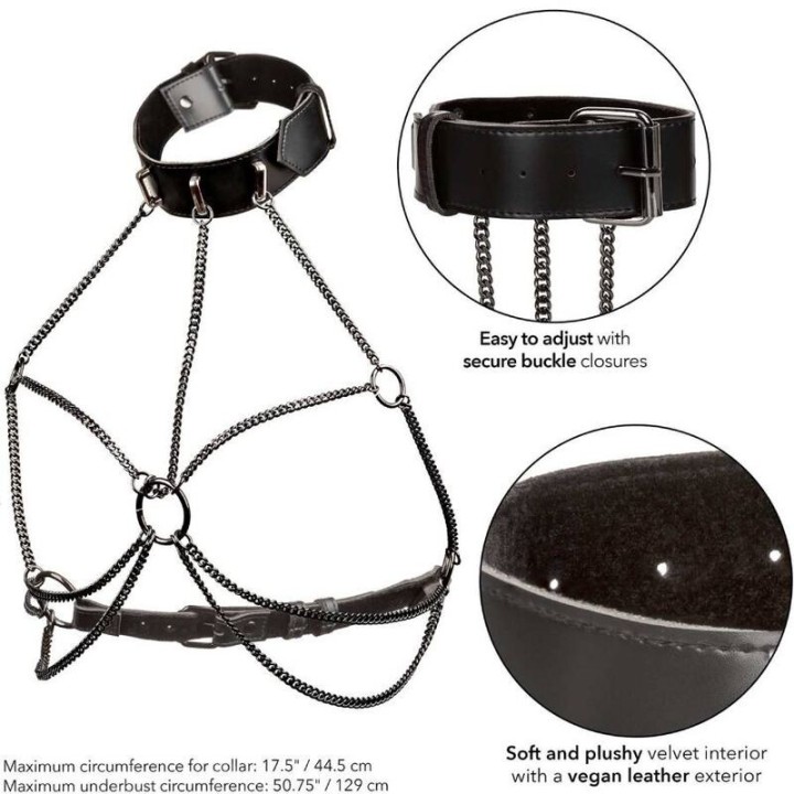 CALEXOTICS - EUPHORIA PLUS SIZE MULTI CHAIN COLLAR HARNESS - D-239249 - Teknashop Ltd