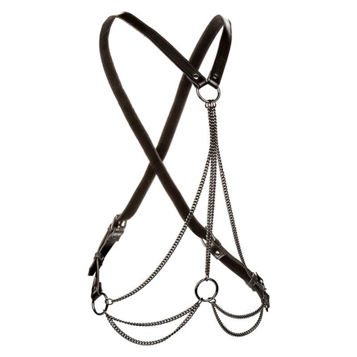 CALEXOTICS - EUPHORIA MULTICHAIN HARNESS PREMIUM - D-241472 - Teknashop Ltd