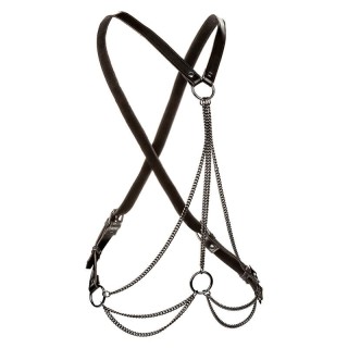 CALEXOTICS - EUPHORIA MULTICHAIN HARNESS PREMIUM PLUS SIZE - D-241473 - Teknashop Ltd