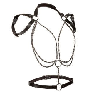 CALEXOTICS - EUPHORIA MULTICHAIN HALTER HARNESS PREMIUM - D-241474 - Teknashop Ltd