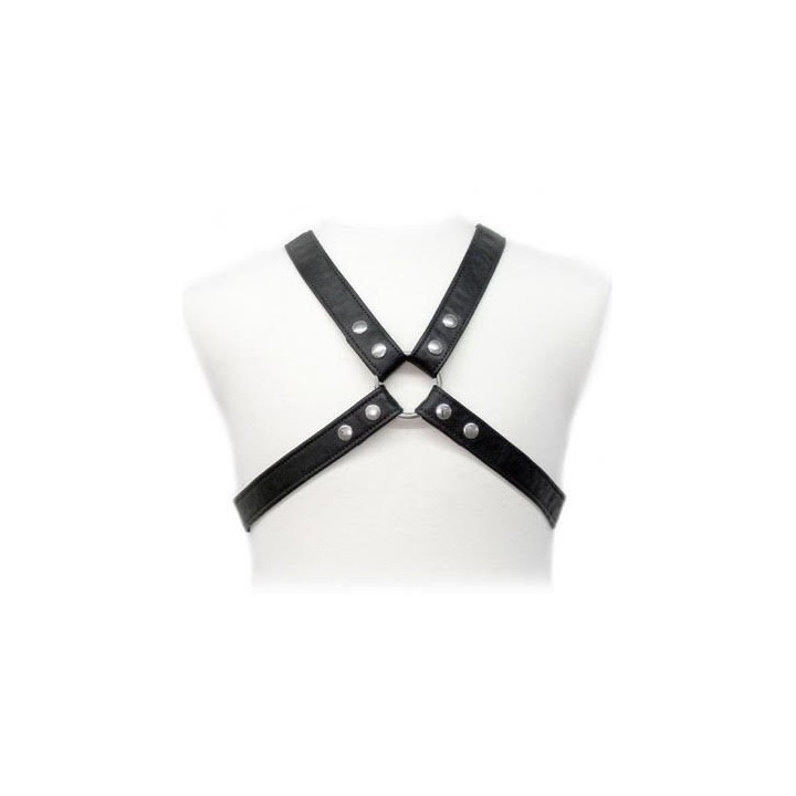 LEATHER BODY - LASIC HARNESS IN GARMENT - D-205472 - Teknashop Ltd
