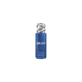 Roberto Cavalli Rc Just Cavalli Mist Blue 250ml - unisex - Teknashop Ltd