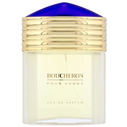 Boucheron, Boucheron, Eau De Toilette, For Men, 100 ml - Teknashop Ltd