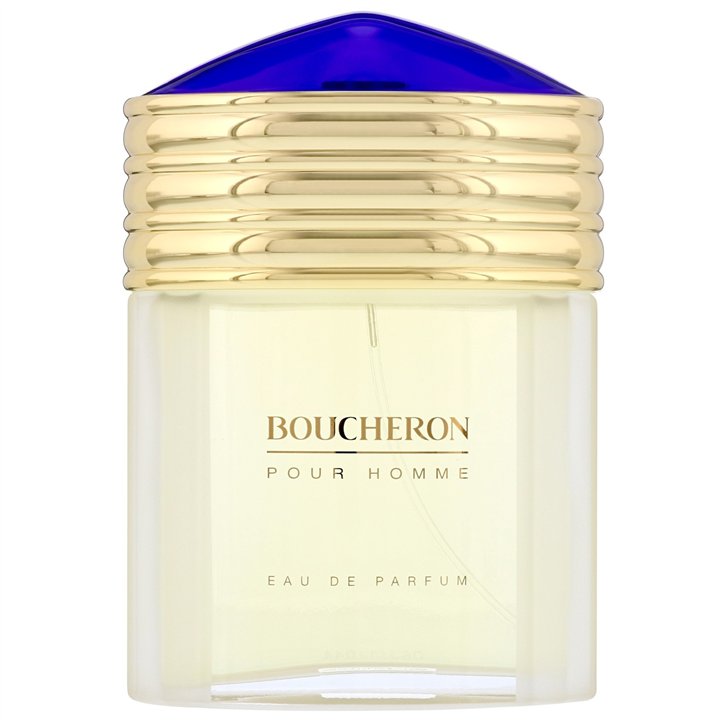 Boucheron, Boucheron, Eau De Toilette, For Men, 100 ml - Teknashop Ltd