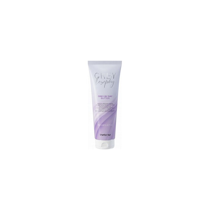Inebrya, Grey By Day, Vegan, Hair Treatment Cream Mask, For Neutralisation Of Yellow Tones, After Shampoo, 250 ml - Teknashop Lt
