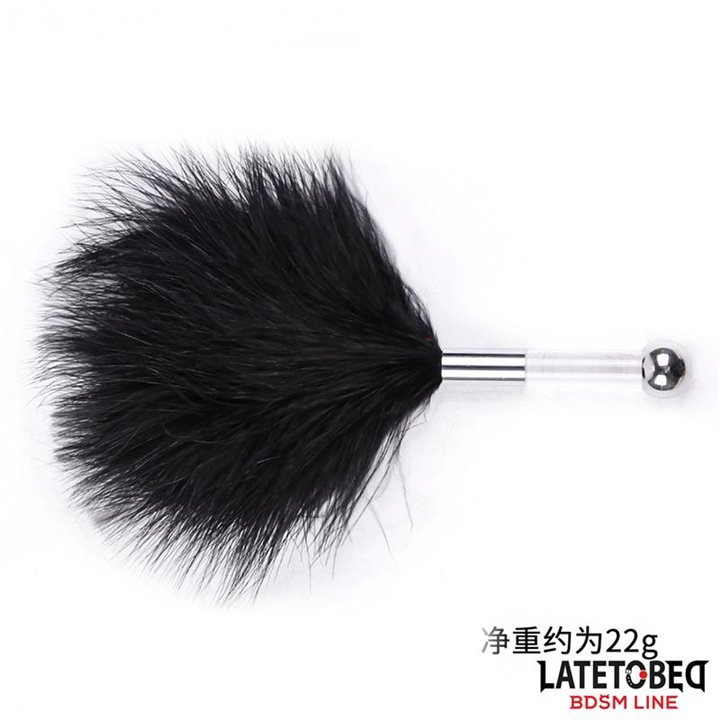 Feather Tickler with Acrylic Metal Handle - 8436615001316 - Teknashop Ltd