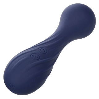CALEXOTICS - CHARISMA TEMPTATION MASSAGER 12 FUNCTIONS PURPLE - D-241462 - Teknashop Ltd