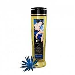 Massage Oil Seduction 240 ml - 697309012195 - Teknashop Ltd