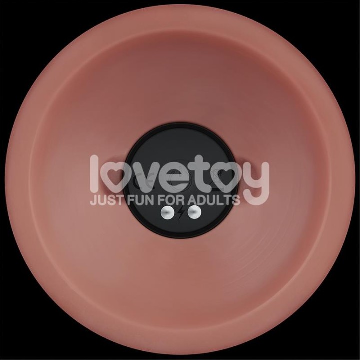 Dual Density Dildo with Vibration 8 - LO-LV110202 - Teknashop Ltd