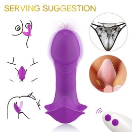ARMONY - WHISTLE VIBRATOR INTRODUCIBLE REMOTE CONTROL PURPLE - D-237998 - Teknashop Ltd