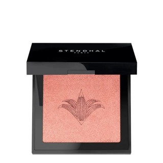 Stendhal Illuminating Blush 300 Rose Jaipur 5.5g - unisex - Teknashop Ltd