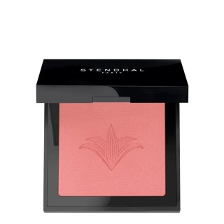 Stendhal Illuminating Blush 301 Rose Nevada 5.5g - unisex - Teknashop Ltd