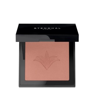 Stendhal Illuminating Blush 302 Brun Petra 5.5g - unisex - Teknashop Ltd