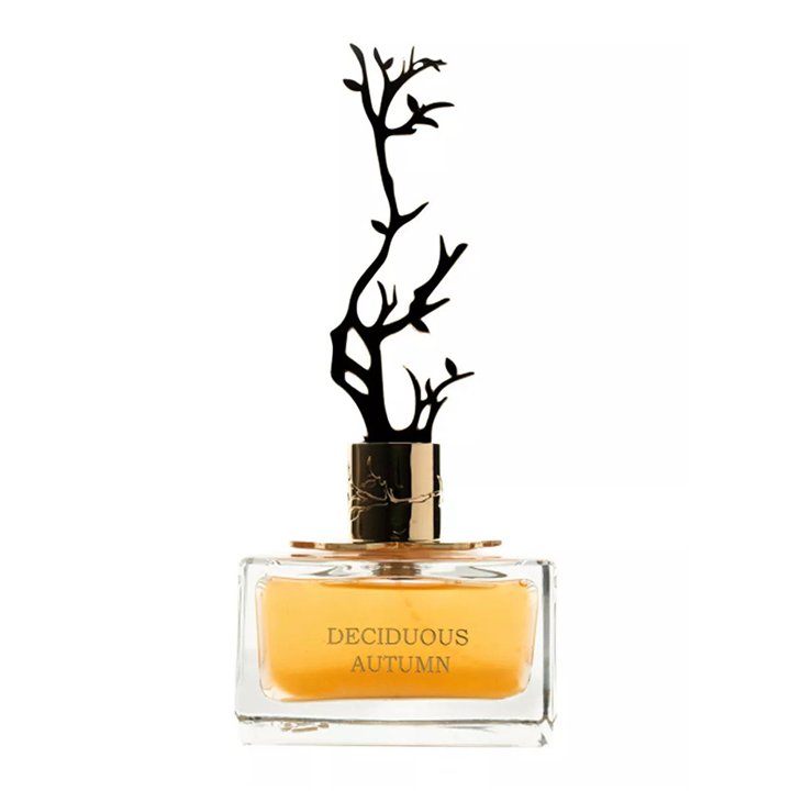 Aurora, Deciduous Autumn, Eau De Parfum, For Women, 100 ml - Teknashop Ltd