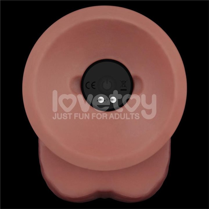 Dual Density Dildo with Vibration 9 - LO-LV110204 - Teknashop Ltd